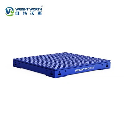 High Precision Floor Scales